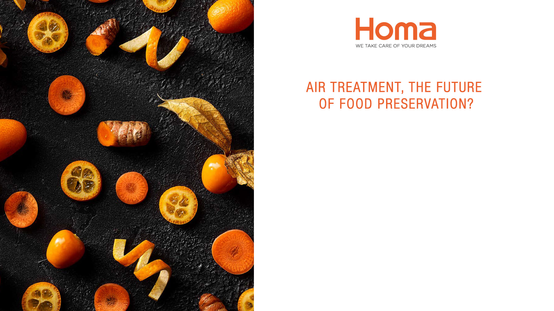 AIR TREATMENT, THE FUTURE OF FOOD PRESERVATION?