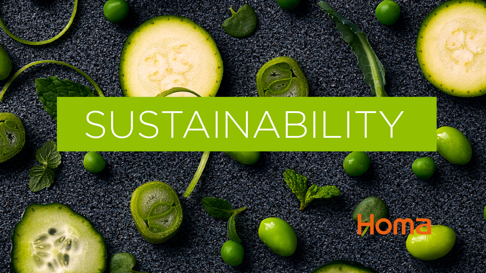 Introducing our GREEN PAPER