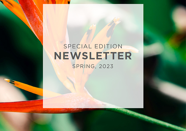 SPRING 2023, special edition