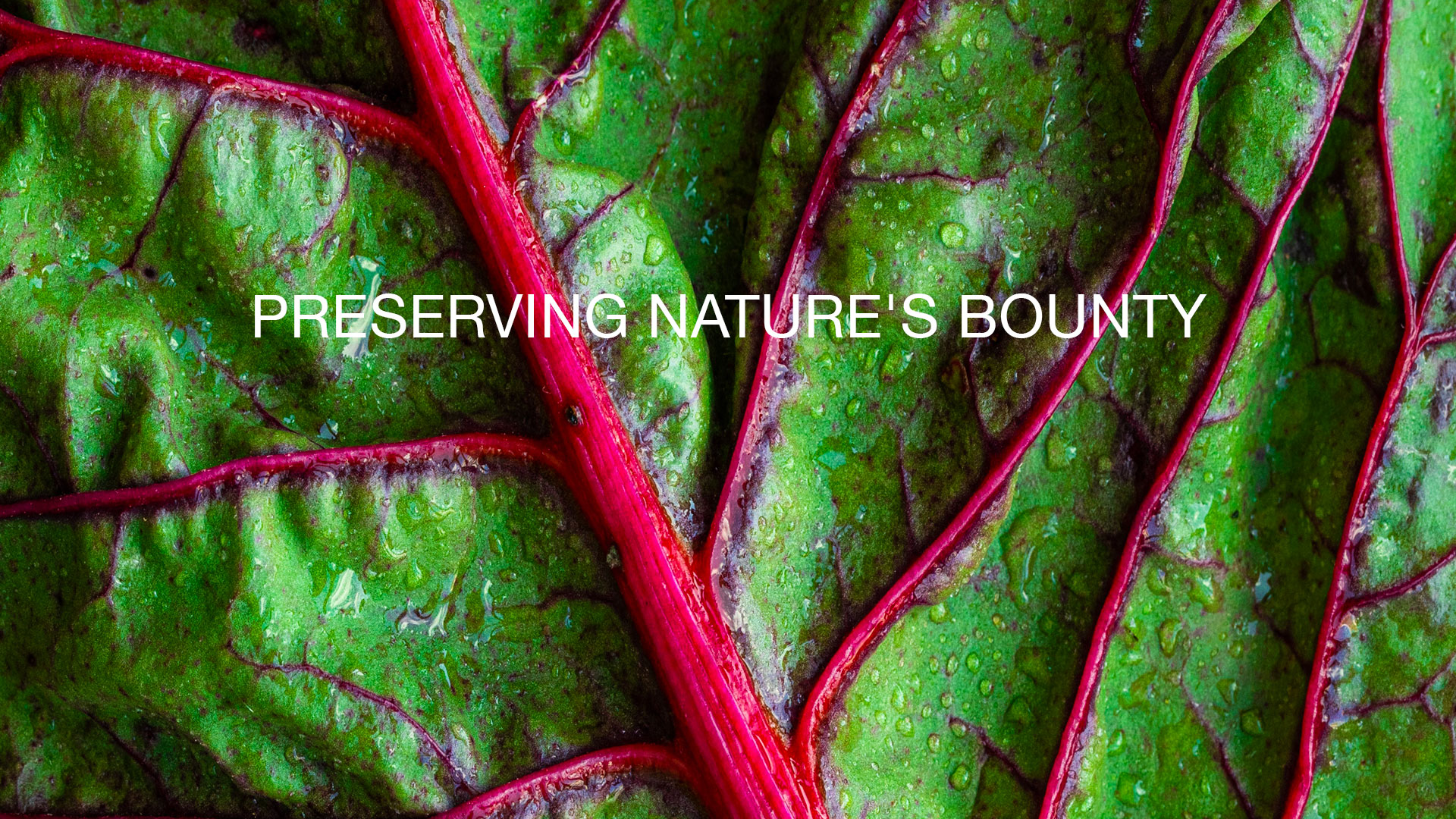 Biodiversity and Food Preservation: Preserving Nature’s Bounty