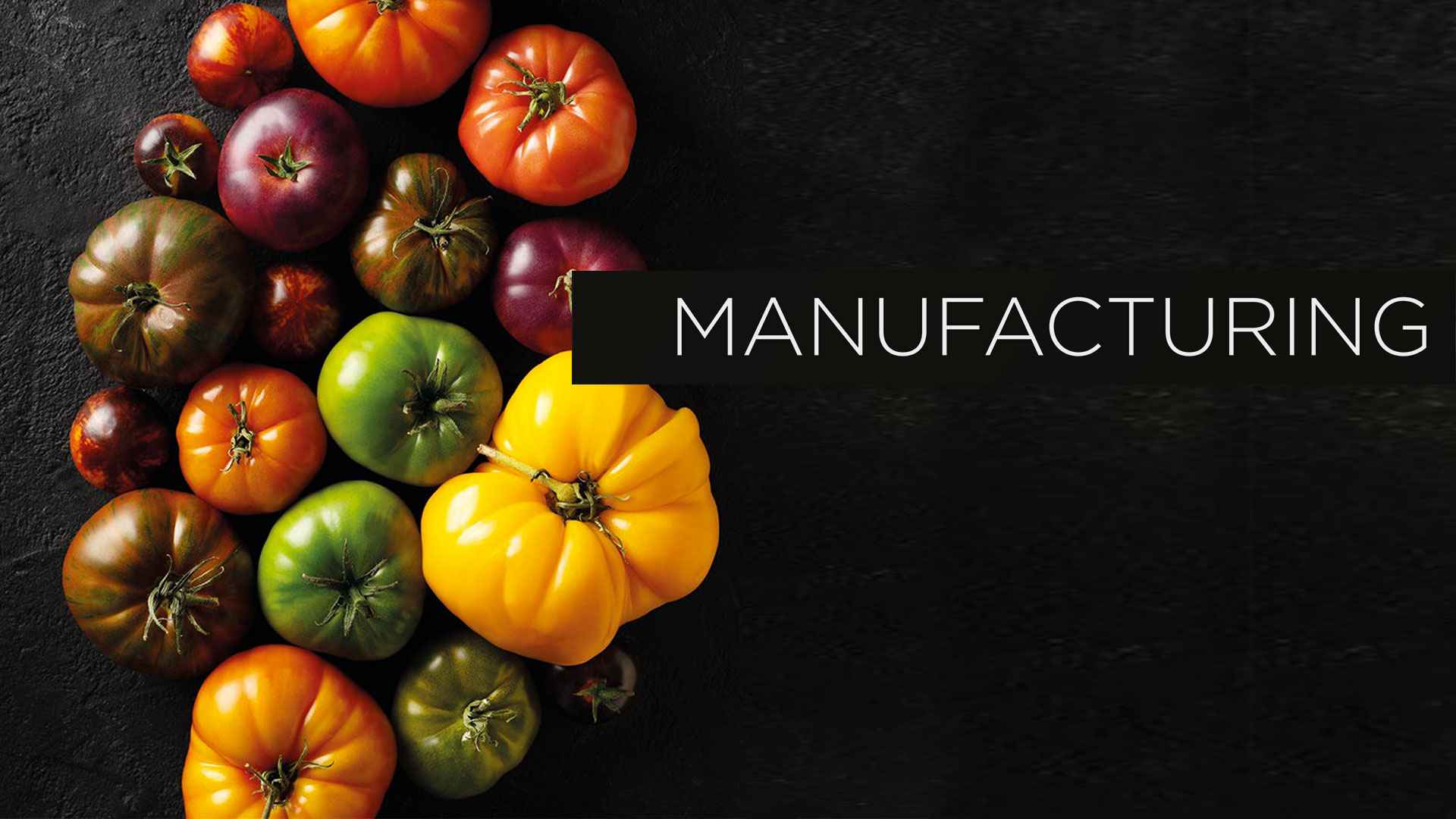 Introducing our new White Paper: “Manufacturing.”