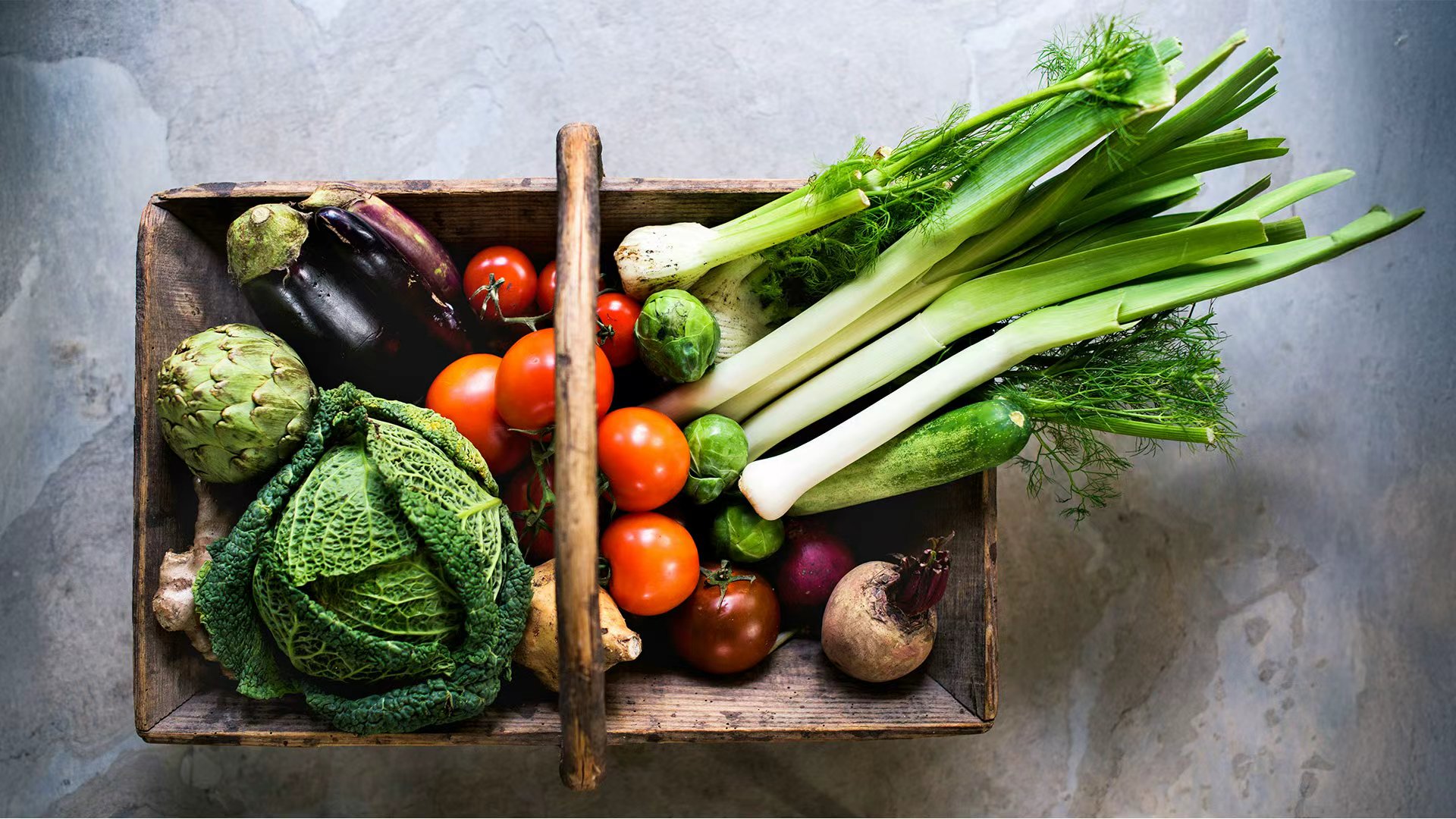 The Planetary Health Diet 2025: Expanding the Frontiers of Food Systems Transformation