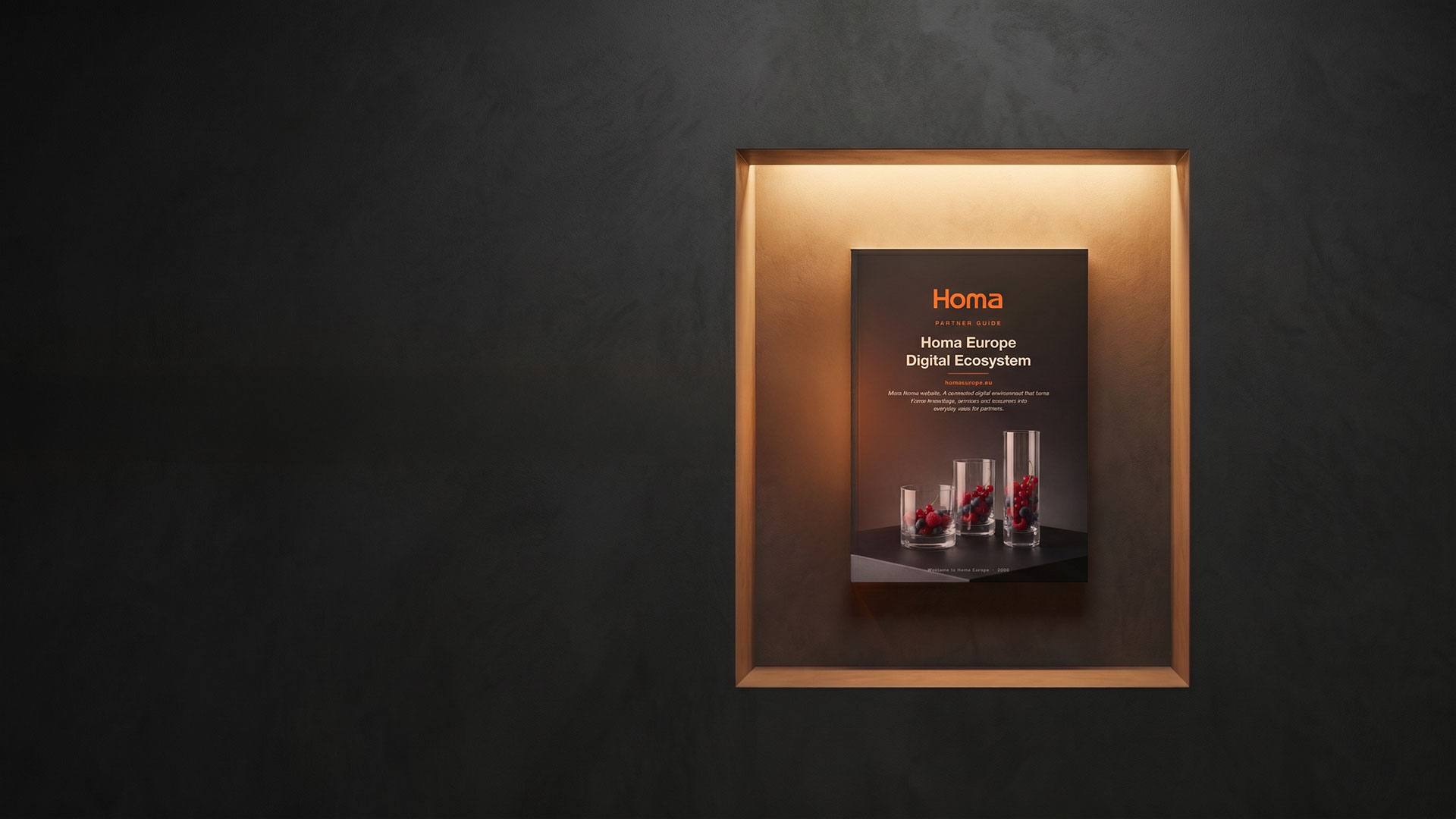 Homa Europe Digital Ecosystem Partner Guide
